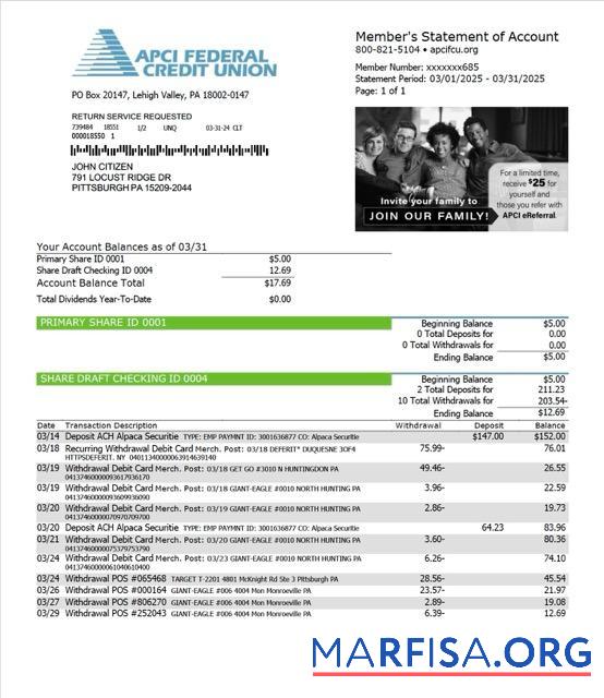 Downloadable USA APCI Federal Credit Union statement of account word example
